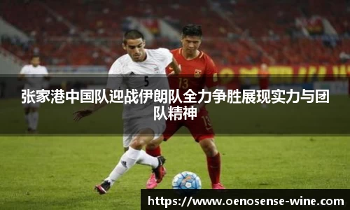 张家港中国队迎战伊朗队全力争胜展现实力与团队精神