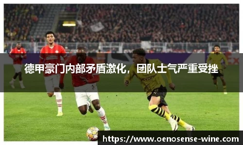 哈哈体育app