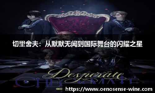 哈哈体育官网