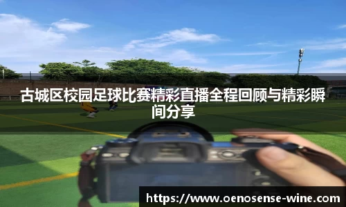 哈哈体育网址