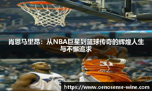 肖恩马里昂：从NBA巨星到篮球传奇的辉煌人生与不懈追求