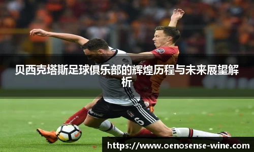 哈哈体育官网